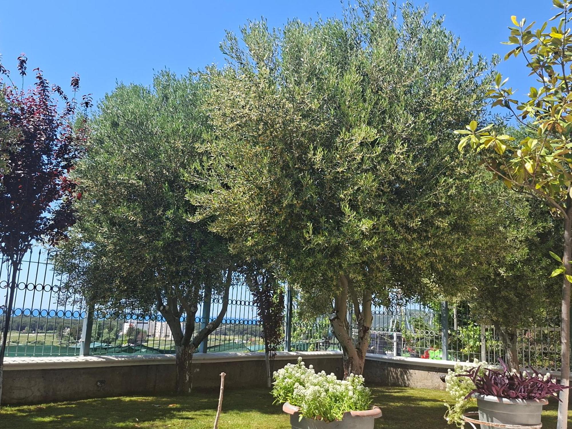 Villa Luiss Panorama Durres Exterior photo